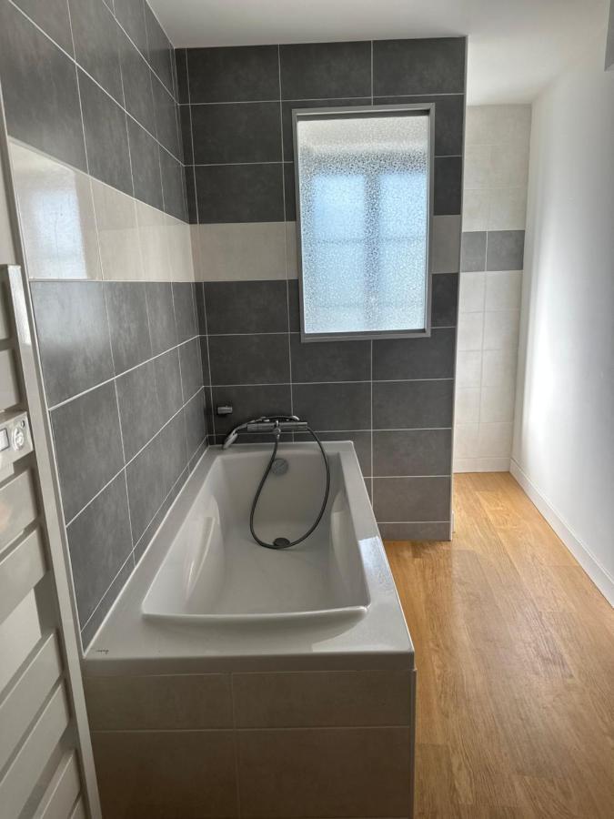 Charmant Appartement En Pierres Bourgoin-Jallieu Екстериор снимка